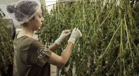 AMAZING CANNABIS INDUSTRY TRAINING VIA GREEN CULTURED